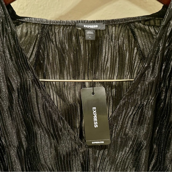 NWT EXPRESS Skimming Textured V-Neck Long Sleeve Pleated Top- Size L - Picture 5 of 9